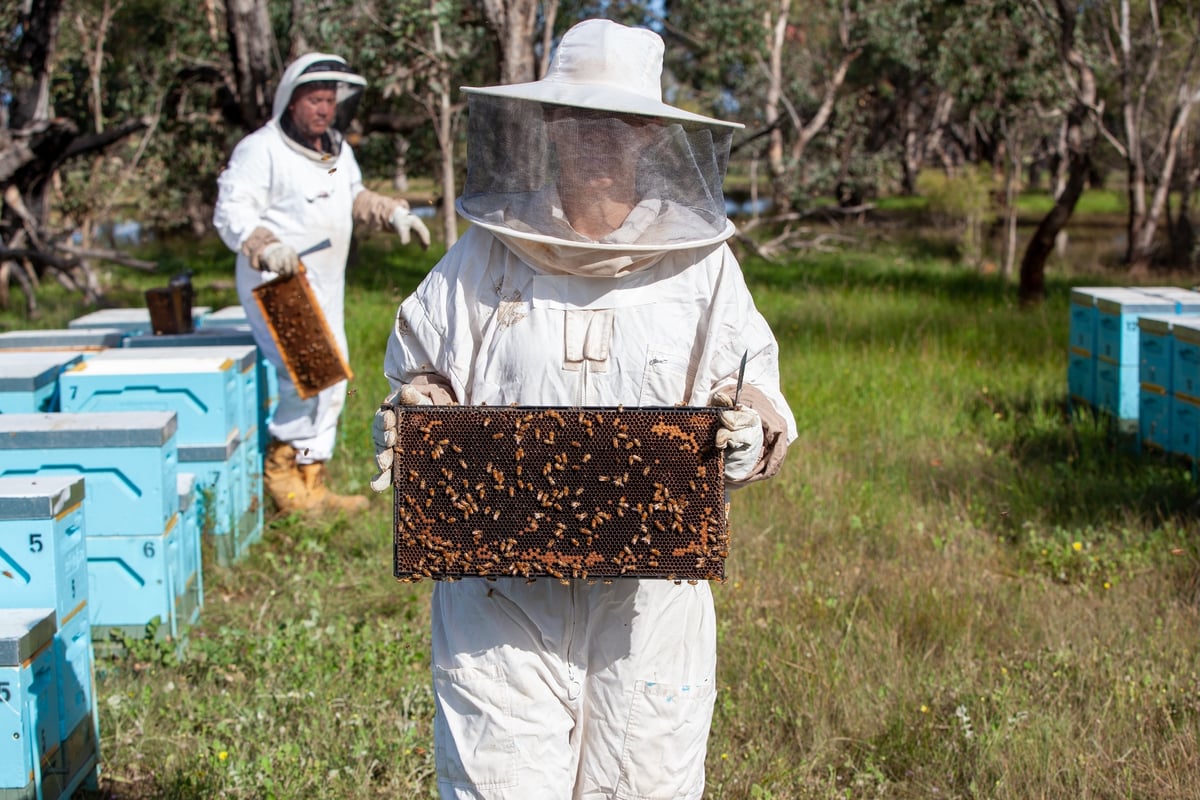 Honey in the Garden Apiary Photos 110922_No (10 of 155)