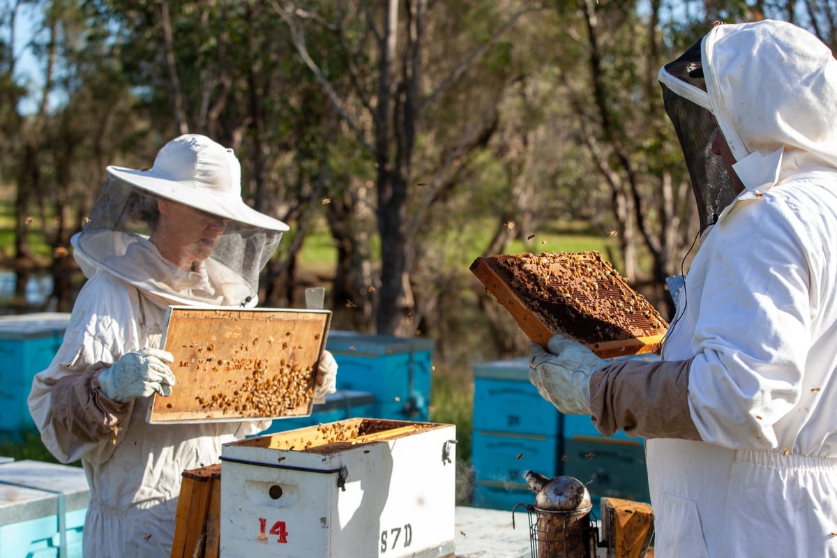 Honey in the Garden Apiary Photos 110922_No (117 of 155)