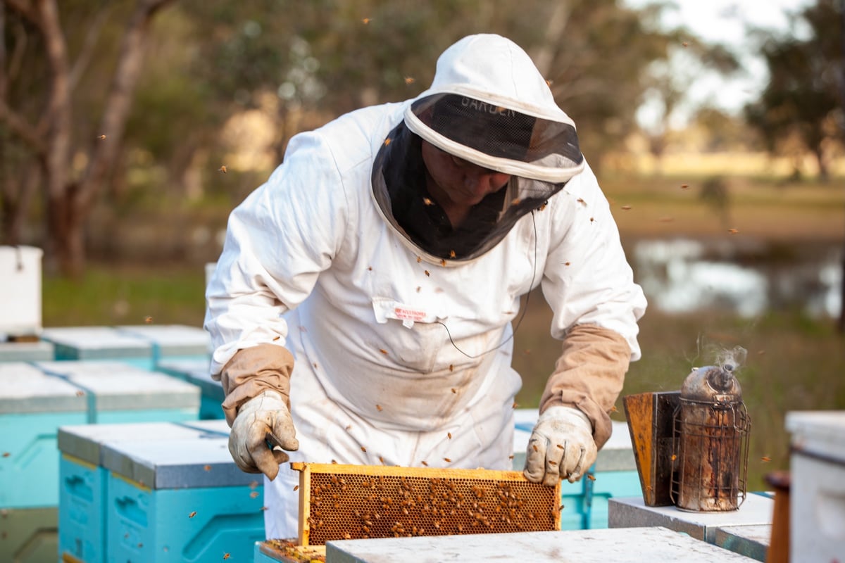 Honey in the Garden Apiary Photos 110922_No (127 of 155)