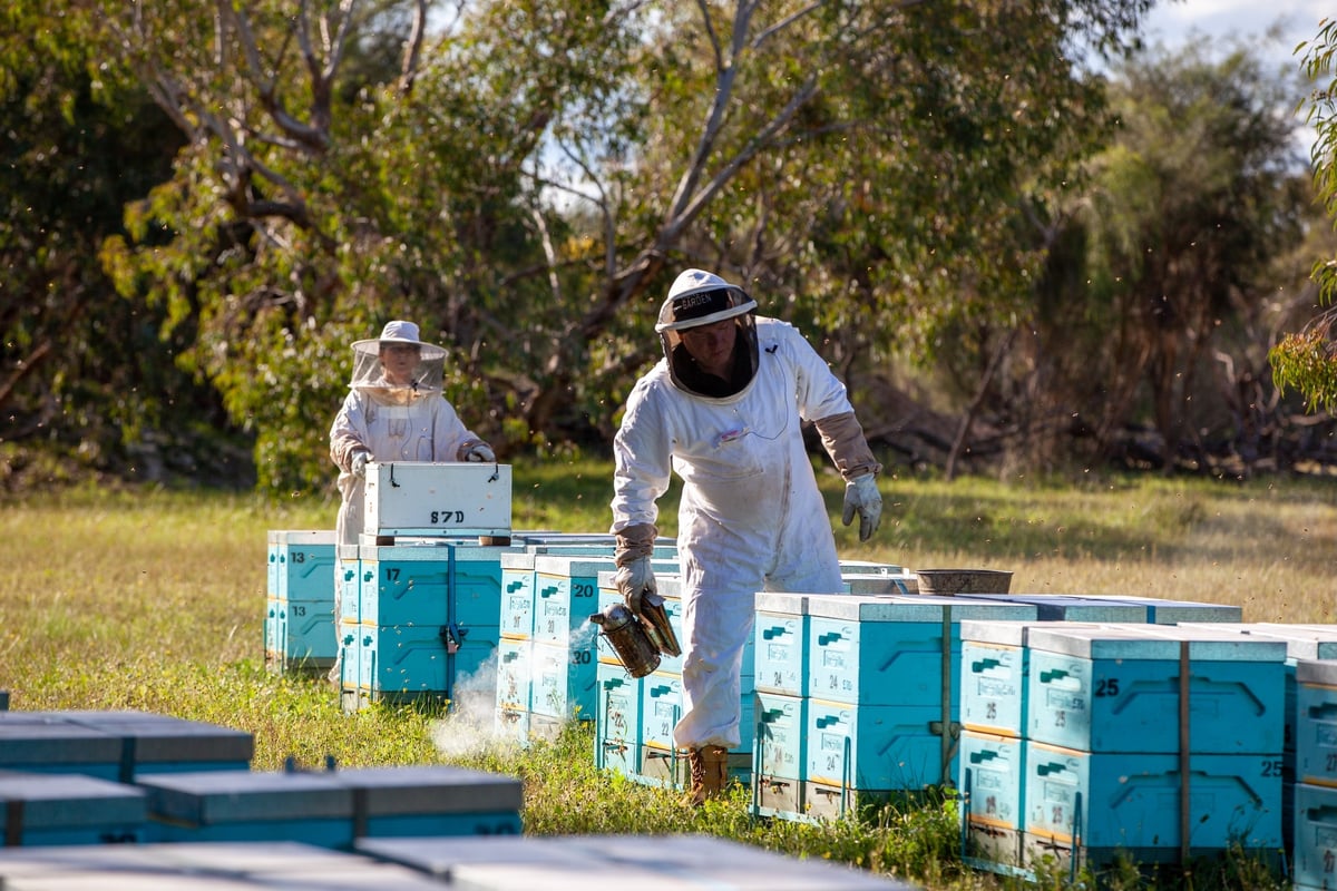 Honey in the Garden Apiary Photos 110922_No (71 of 155)