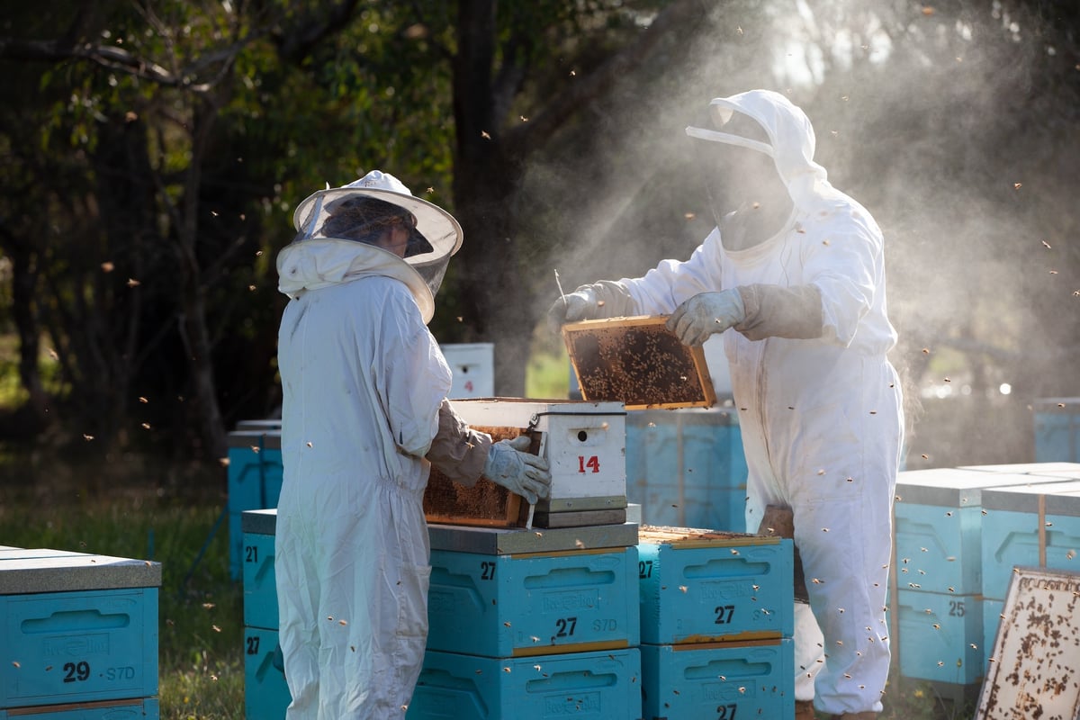 Honey in the Garden Apiary Photos 110922_No (83 of 155)